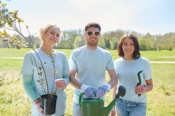 Image showing group of volunteers with tree seedlings in park