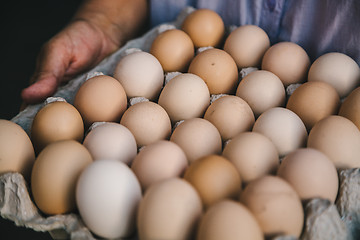 Image showing Close-up of eggs in carton