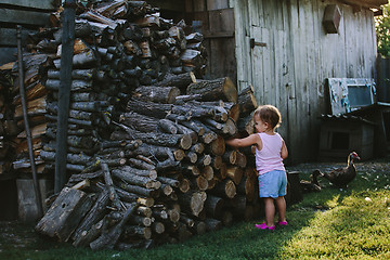 Image showing Child playing in backyard