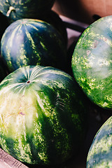 Image showing Watermelons in box for sale