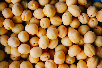 Image showing Ripe apricots lying in heap