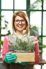 Image showing Florist with box of flower