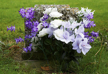 Image showing Purple and white flowers on a grave