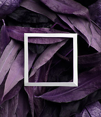 Image showing Purple leaves with white border