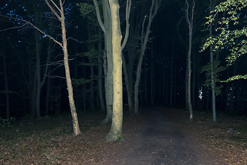 Image showing dark forest at night