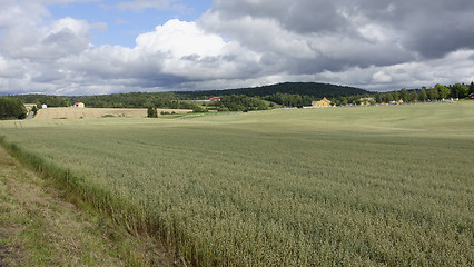 Image showing Farmland