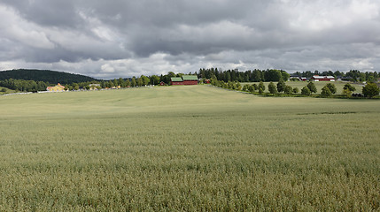 Image showing Farmland