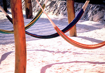 Image showing Hammocks on the beach.