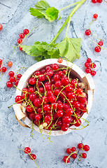 Image showing red currant