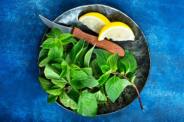 Image showing fresh mint