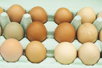 Image showing fresh free-range chicken eggs