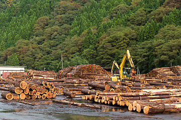 Image showing Timber industry