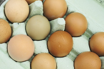 Image showing fresh free-range chicken eggs