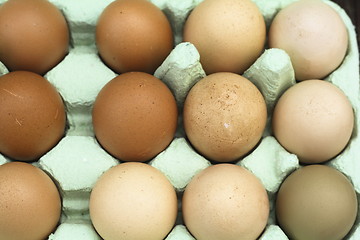 Image showing fresh free-range chicken eggs