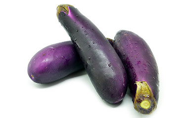 Image showing Eggplant or aubergine vegetable