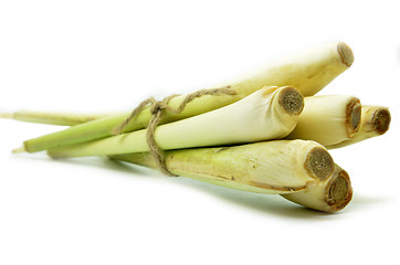 Image showing Bundle of lemon grass