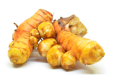 Image showing Turmeric rhizome on white background