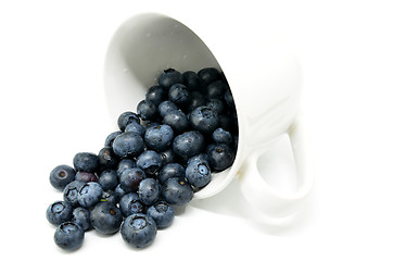 Image showing Tasty blueberries isolated