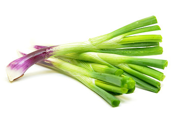 Image showing Fresh spring onions