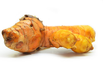 Image showing Turmeric rhizome on white background