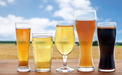 Image showing different types of beer glasses over cereal field