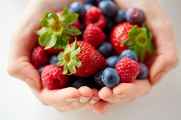 Image showing close up of young woman hands holding berries