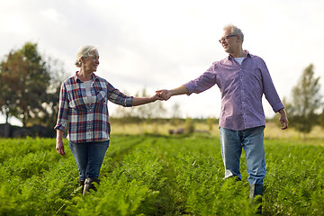 Image showing happy senior couple holding hands at summer farm