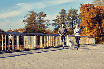 Image showing happy couple with dog running outdoors