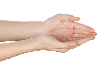 Image showing beautiful womans hands palms up on white 