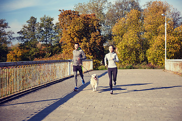 Image showing happy couple with dog running outdoors