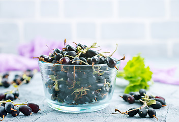 Image showing black currant