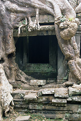 Image showing Door, root, steps