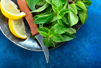 Image showing fresh mint