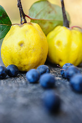 Image showing Quince fuits and blackthorn berries on old wood background.