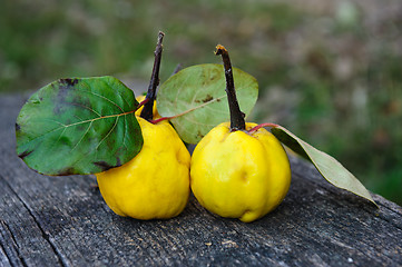 Image showing Quince fuits and blackthorn berries on old wood background.