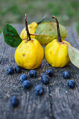 Image showing Quince fuits and blackthorn berries on old wood background.
