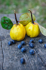 Image showing Quince fuits and blackthorn berries on old wood background.