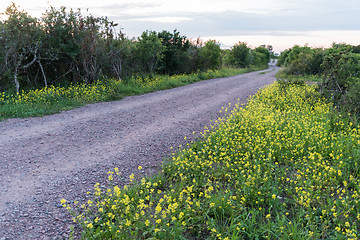 Image showing Beautiful country road