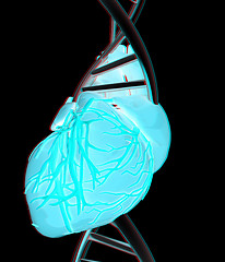 Image showing DNA and heart. 3d illustration. Anaglyph. View with red/cyan gla