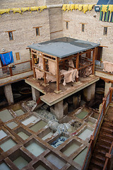 Image showing Old tannery in Fez, Morocco