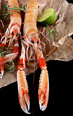 Image showing Delicious Raw Langoustines 