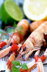 Image showing Delicious Raw Langoustines 