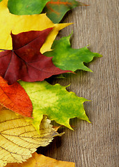 Image showing Frame of Autumn Leafs