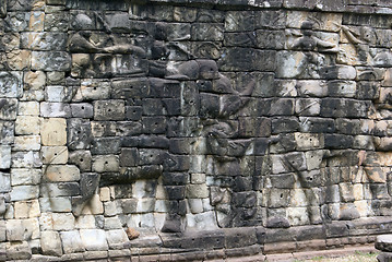 Image showing Elephants