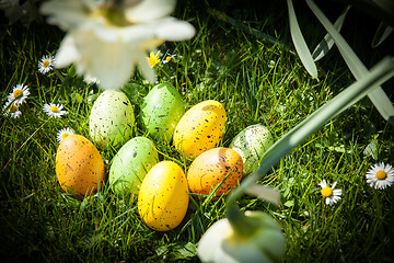 Image showing colored Easter eggs hidden in flowers and grass