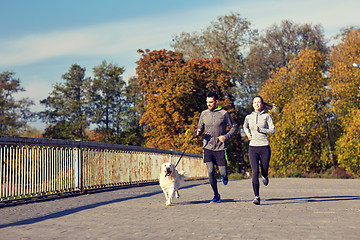 Image showing happy couple with dog running outdoors