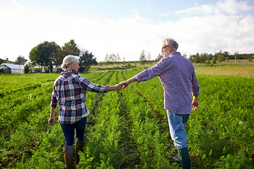 Image showing happy senior couple holding hands at summer farm