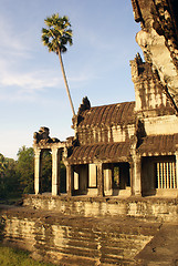 Image showing Temple and palm tree