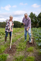 Image showing senior couple with shovels at garden or farm