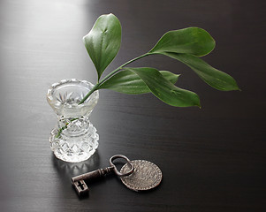 Image showing Branch in Vase, Key and Silver Coin